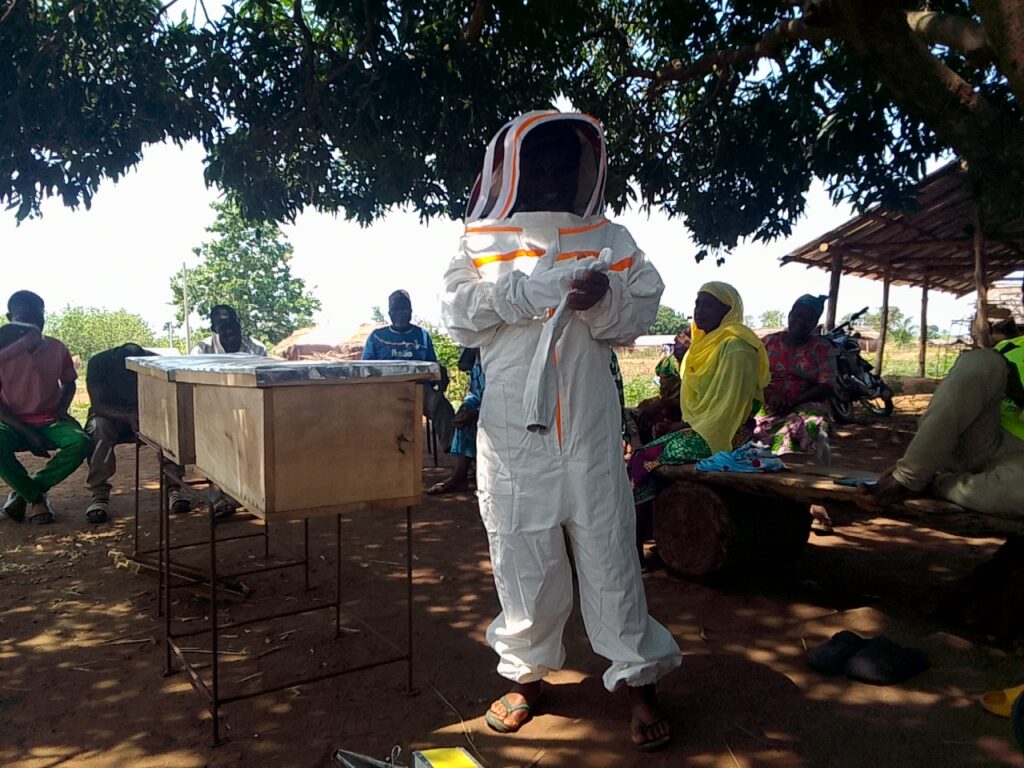 Training Beekeepers - Women and Youth in Beekeeping and Valuechain Ghana WYN-BG